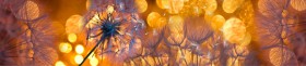 Кухонный фартук Мерцание Одуванчики золотистые 3 серебро в Щёлково - shhyolkovo.katalogmebeli.com | фото